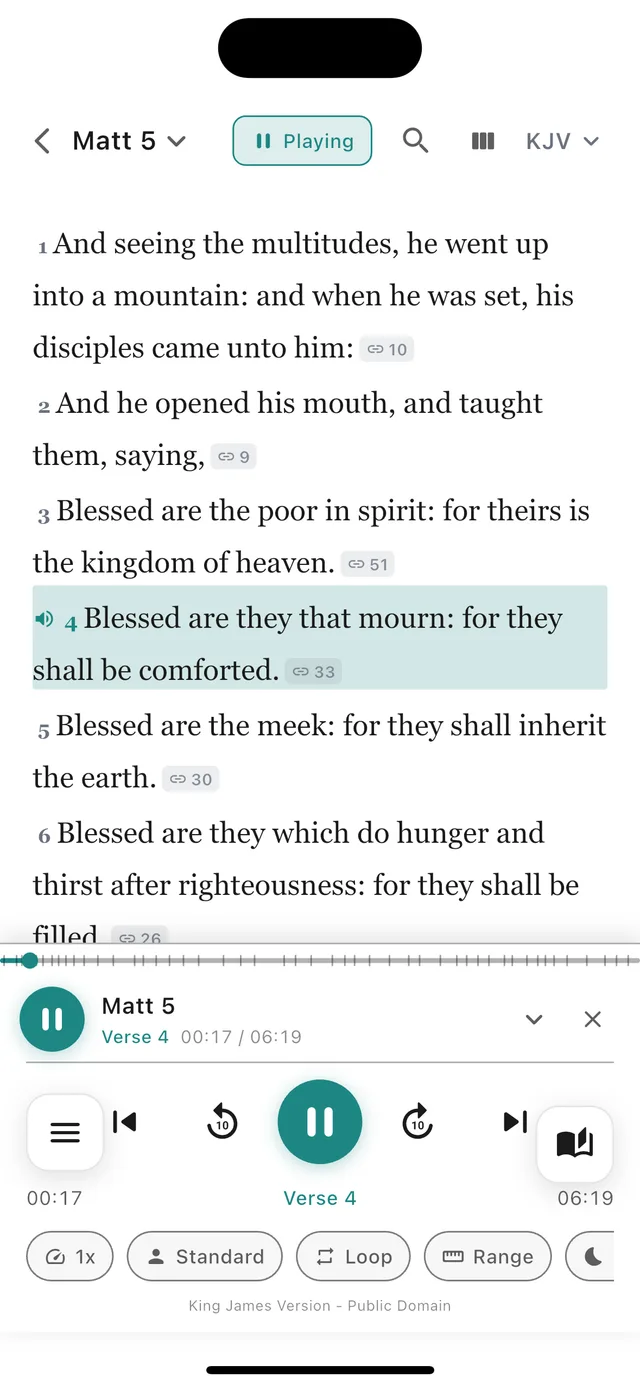VerseRoot Bible Audio Player